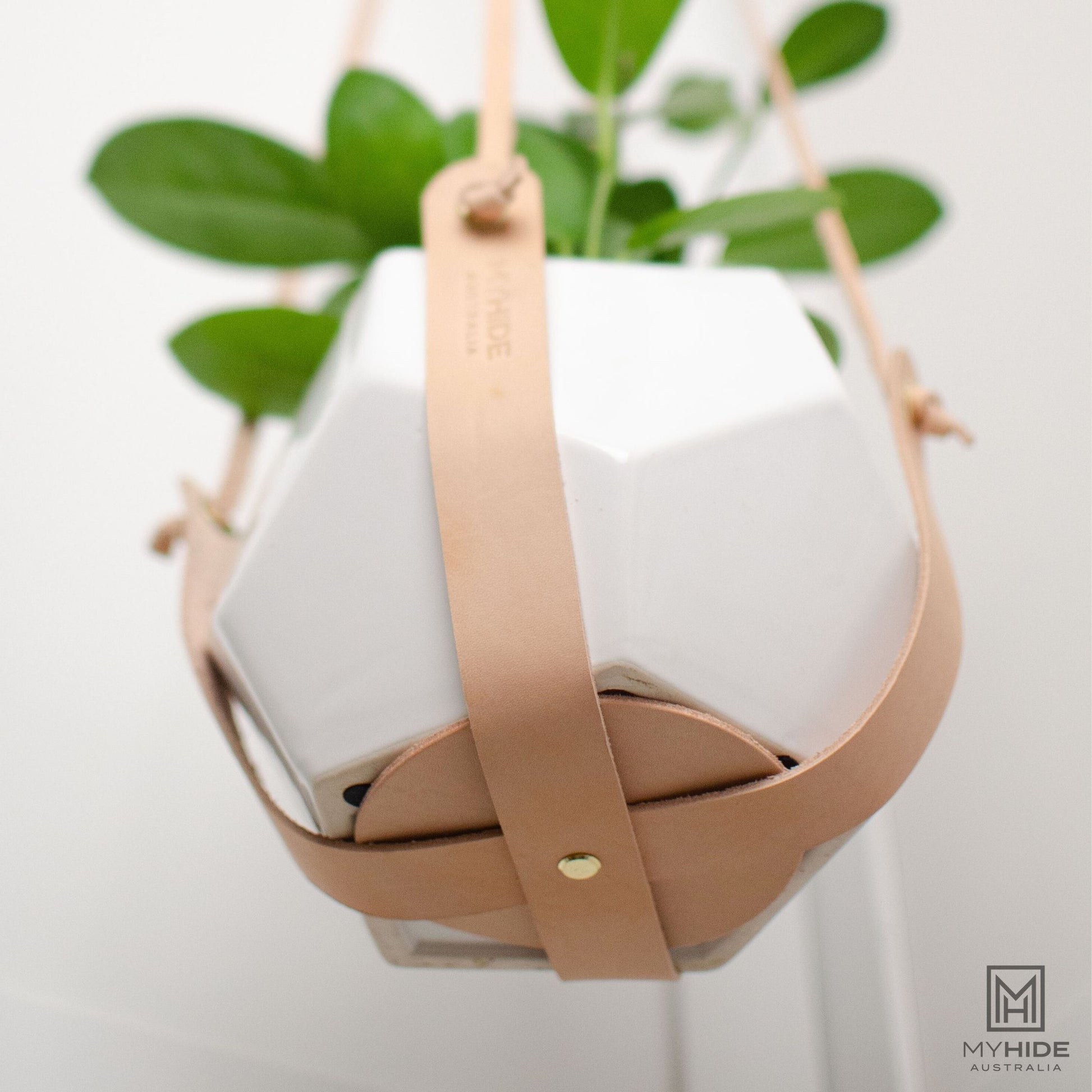 leather strap plant hanger Leather Plant Hanger