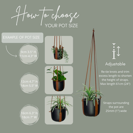 leather strap plant hanger Leather Plant Hanger